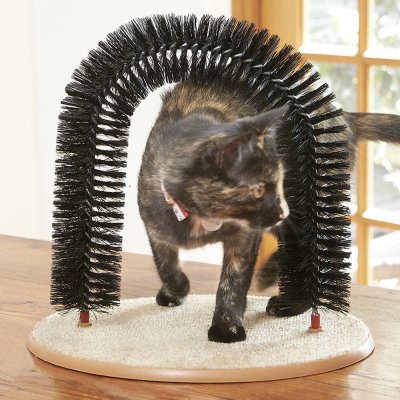 81sgnaza3ll-_sl1000_